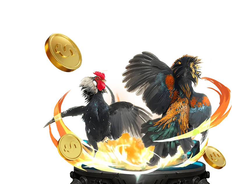 Hướng dẫn chi tiết cách đặt cược đá gà tại PG666